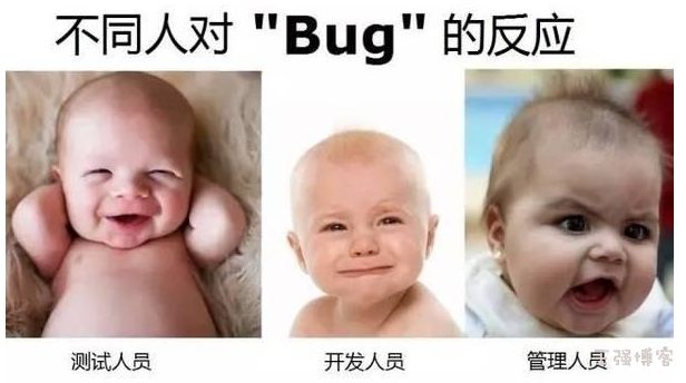 不同人对于BUG的反应