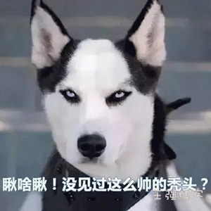 html网页在所有页面播放音频
